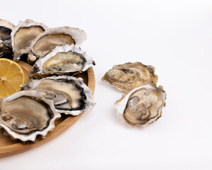 plate of fresh raw oysters isolated on white background, top view