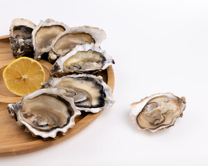 plate of fresh raw oysters isolated on white background, top view