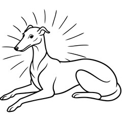 Dog breeds coloring pages