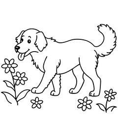 Dog breeds coloring pages