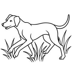 Dog breeds coloring pages