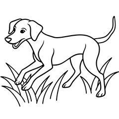 Dog breeds coloring pages