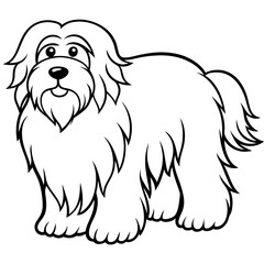 Dog breeds coloring pages