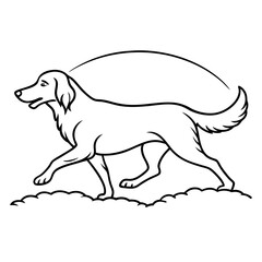 Dog breeds coloring pages