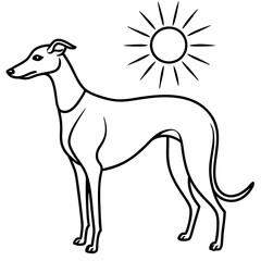 Dog breeds coloring pages