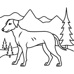 Dog breeds coloring pages