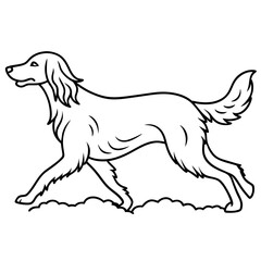 Dog breeds coloring pages