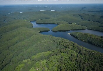 Wilderness Wonders: A Dive into Amazon Wildlife