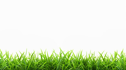 Obraz premium Vibrant green grass against clean white background, perfect for spring and summer designs. Ideal for gardening, landscaping, or golf