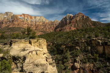 Scoggins Wash Below Mount Kinesava In Zion