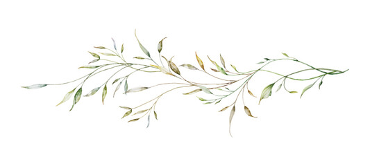 Watercolor botanical long branches and leaves