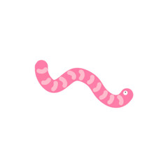 Pink Worm Illustration