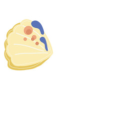 Colorful seashell illustration