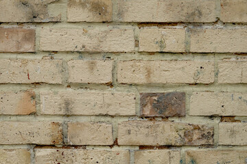 Mur en briques beiges