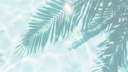 Tropical palm leaf shadow on water surface with sunlight. Summer background