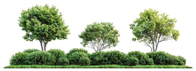Green park landscape with bushes and trees, cut out