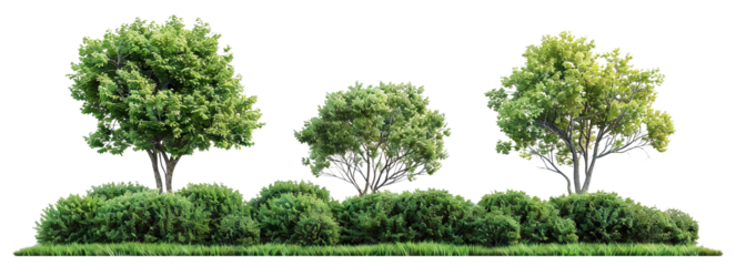Green park landscape with bushes and trees, cut out