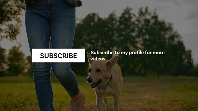 Subscribe Animation With Music Player Icon