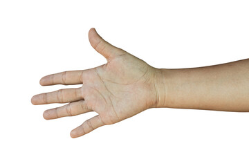 Female hand gesture Isolated on transparent background, PNG File.