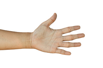 Female hand gesture Isolated on transparent background, PNG File.