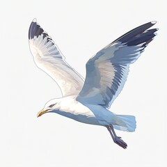 Obraz premium Illustration of a seagull in flight, showcasing detailed feathers and realistic colors against a simple background, representing wildlife elegance.
