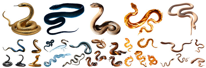 Fototapeta premium snake element silhouette Chinese astrology
