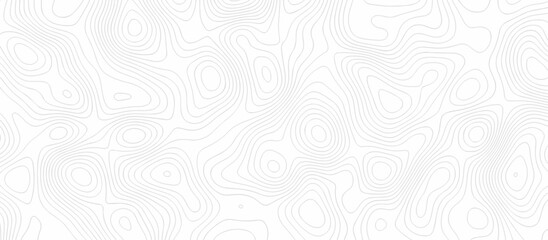 Abstract Topographic map background with wave line. Panorama view gradient multicolor wave curve lines banner background design. Vector illustration. wave Line topography map contour background.