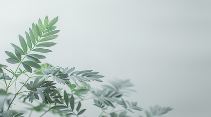 branch of rosemary