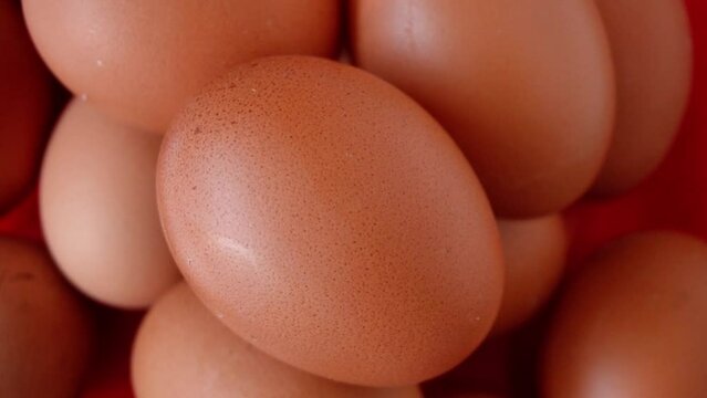 Rotating chicken egg close up. Pile of fresh raw eggs