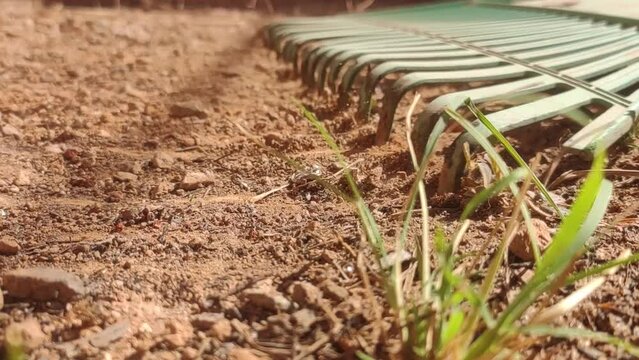 Arando terra (Plowing land)