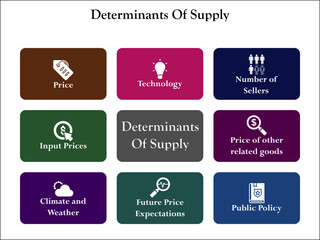 Eight Determinants of supply. Infographic template with icons and description placeholder