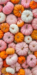 colorful pumpkin background