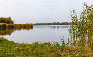 Landscape in the countryside by the lake on a sunny October day. A quiet place to relax by the water.