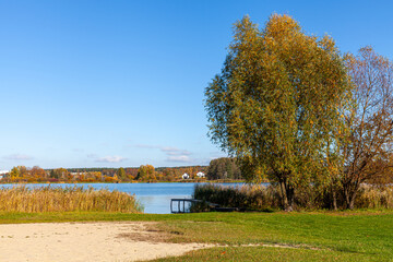 Obraz premium Landscape in the countryside by the lake on a sunny October day. A quiet place to relax by the water.