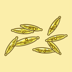 Phaeodactylum, a genus of diatoms, includes P. tricornutum, known for silica cell walls, photosynthesis, and biotechnological uses. It plays a vital role in marine ecosystems as a primary producer