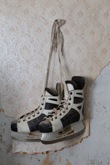 Hockey skates hang on a wall.