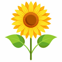 vector illustration of sunflower