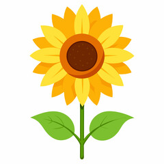 vector illustration of sunflower