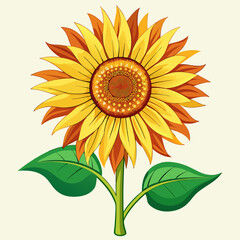 Fototapeta premium vector illustration of sunflower