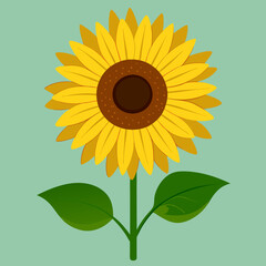 vector illustration of sunflower