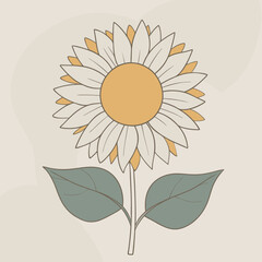 Fototapeta premium vector illustration of sunflower