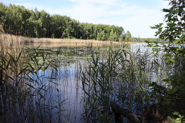 Jezioro Nakło-Chechło