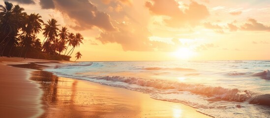 Fototapeta premium Beautiful spacious view of the tropical coast with palm trees and sandy beach at sunset, concept for summer vacation, resort 