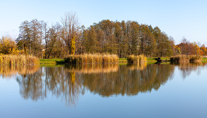 Landscape in the countryside by the lake on a sunny October day. A quiet place to relax by the water.