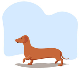 Dachshund dog vector drawing