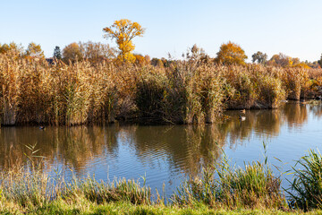 Landscape in the countryside by the lake on a sunny October day. A quiet place to relax by the water.