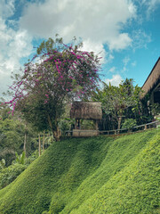Small wooden gazebo on the side of a green hill
