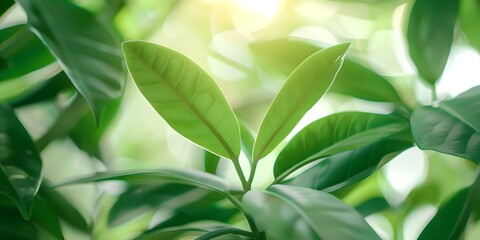 Obraz premium Realistic green leaves moving background captures natures dynamic essence with motion. Concept Nature, Green Leaves, Dynamic Essence, Moving Background, Realistic Captures