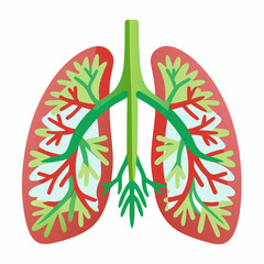 lungs vector illustration on white background