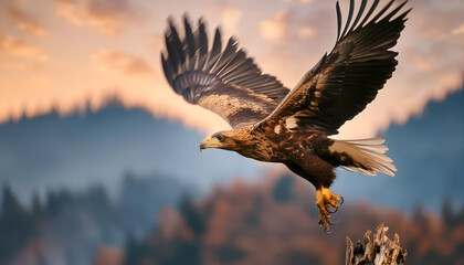 Fototapeta premium Close up a Eagles Flying in the sky, wildlife photography - nature, Generative AI.